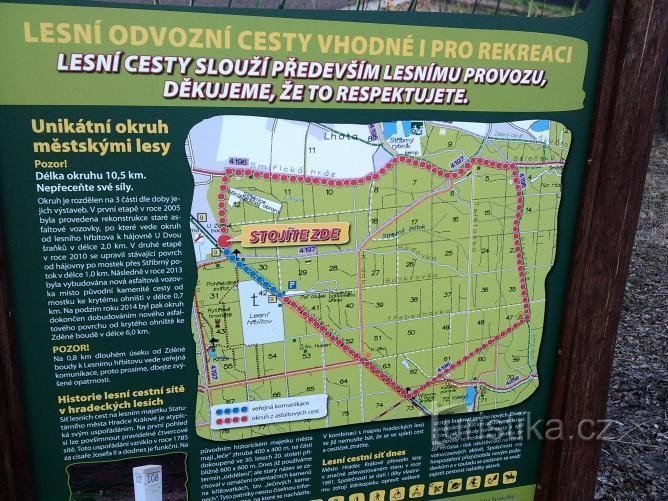 Lesní stezky v hradeckých městských lesích