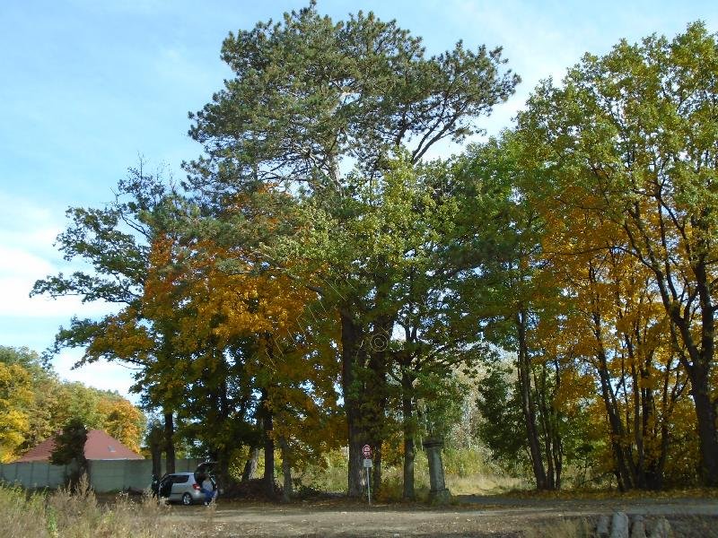lesopark Prašivice