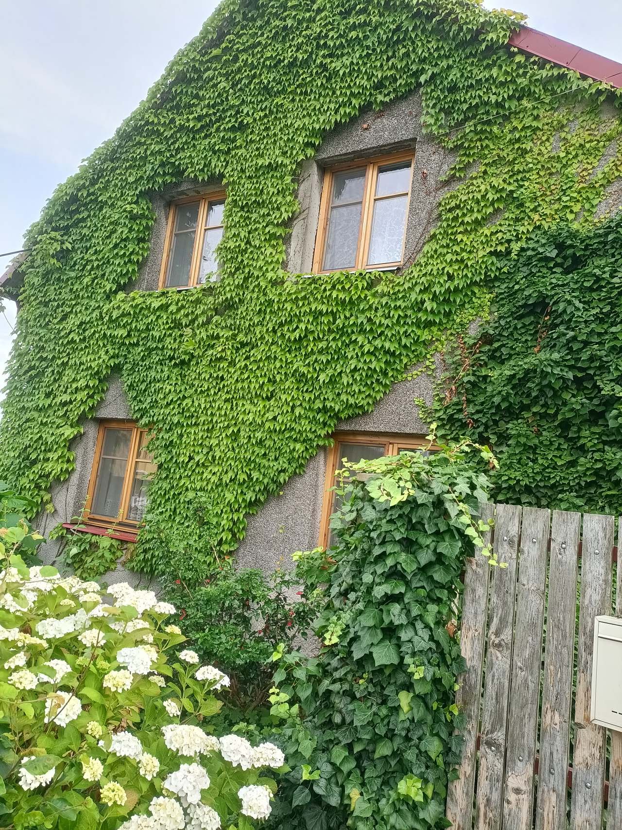 Letní pohled