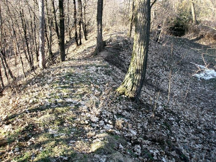 Levý Hradec