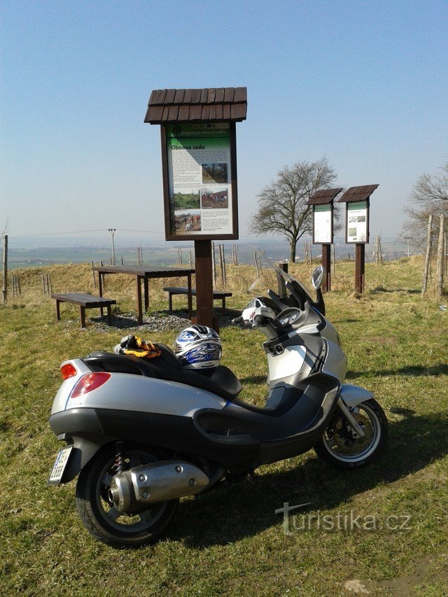 LHŮTY - OVOCNÝ SAD