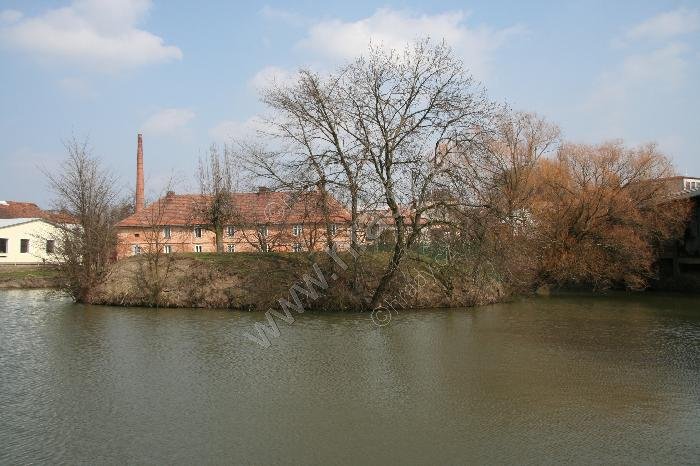 Libčany