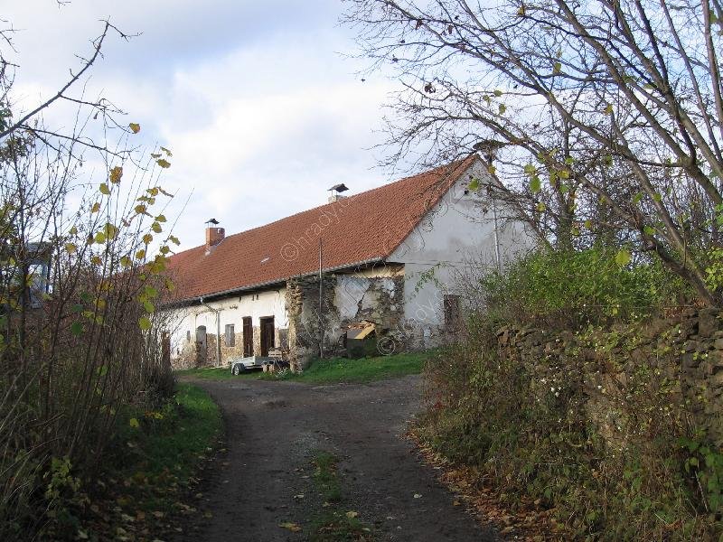 Libív