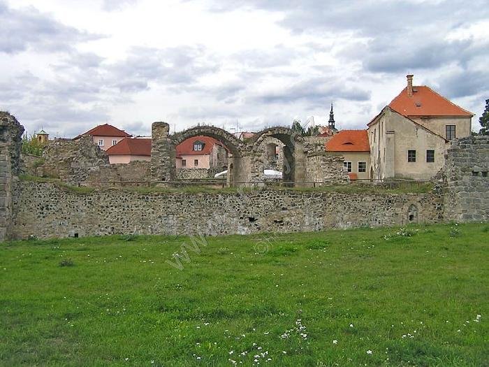 Lipý