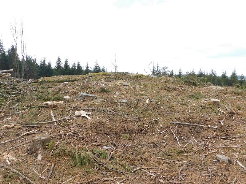Lísek