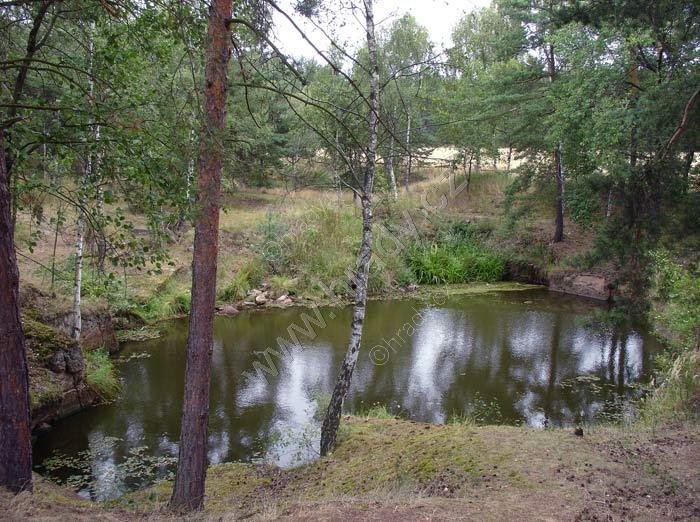 Lom Soseň