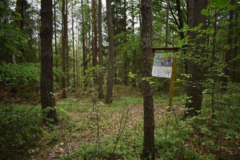 Loučná