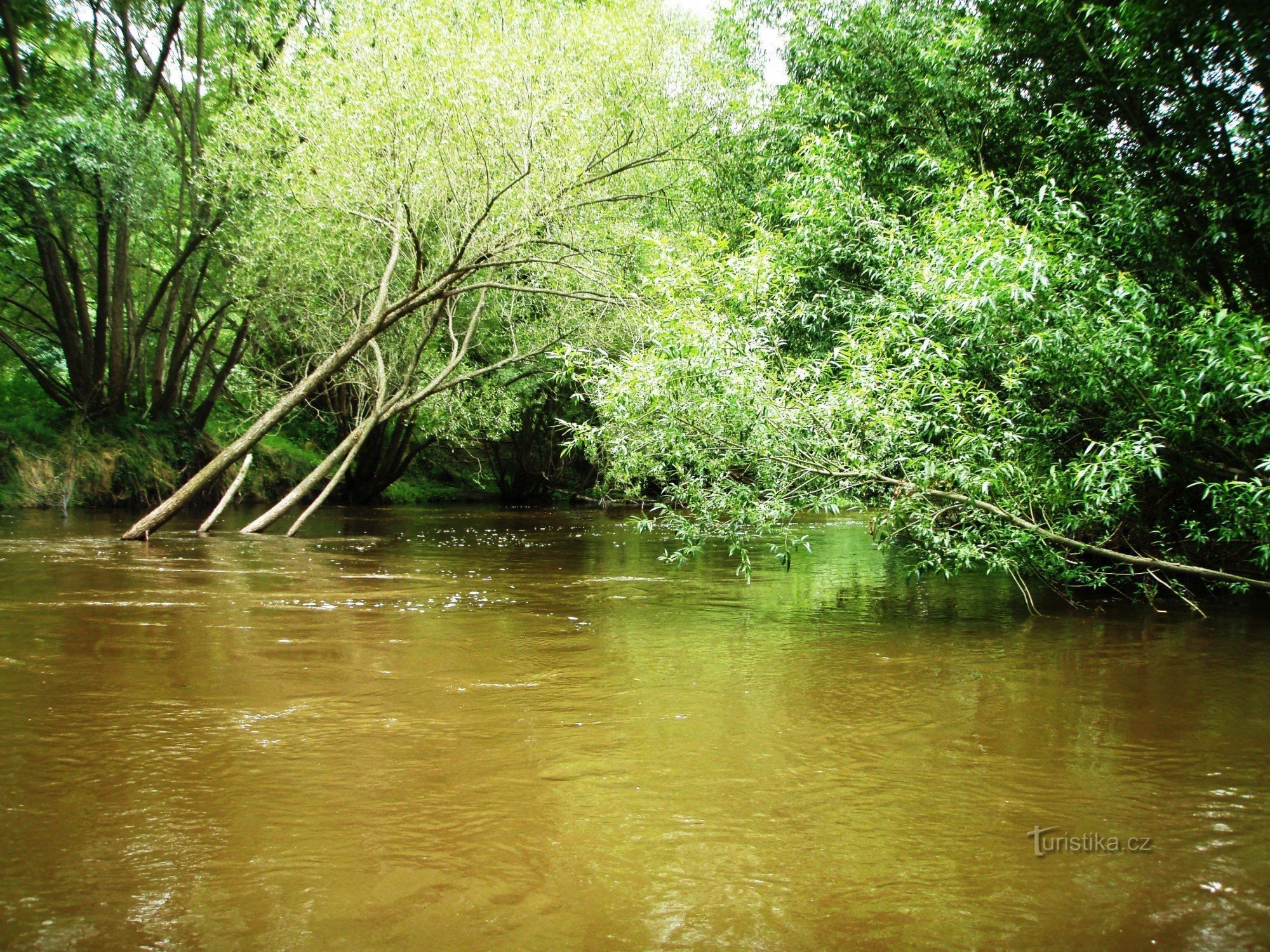 Lužnice ze Suchdola_01