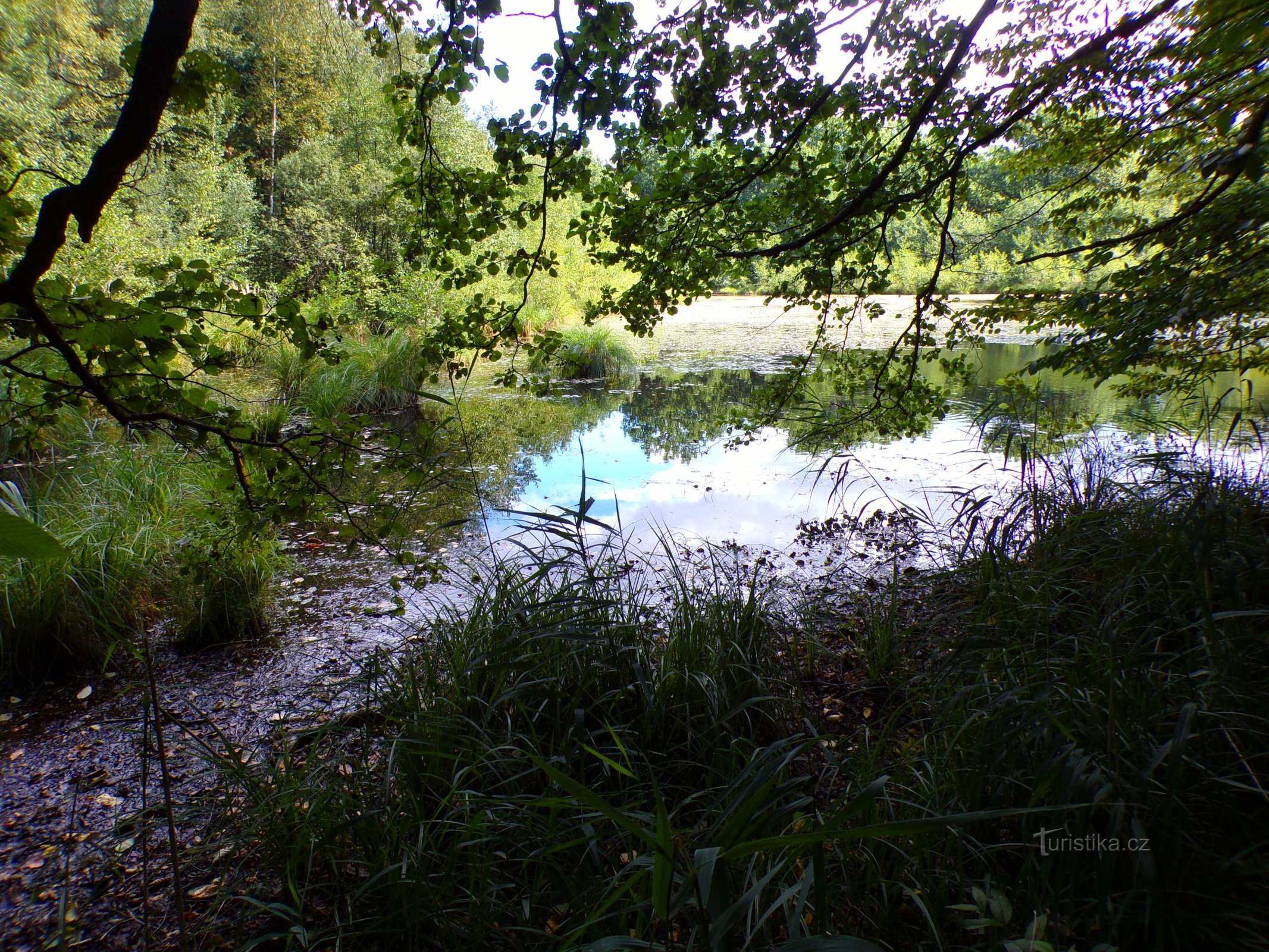 Malá Houkvice (Petrovice nad Orlicí, 1.9.2022)