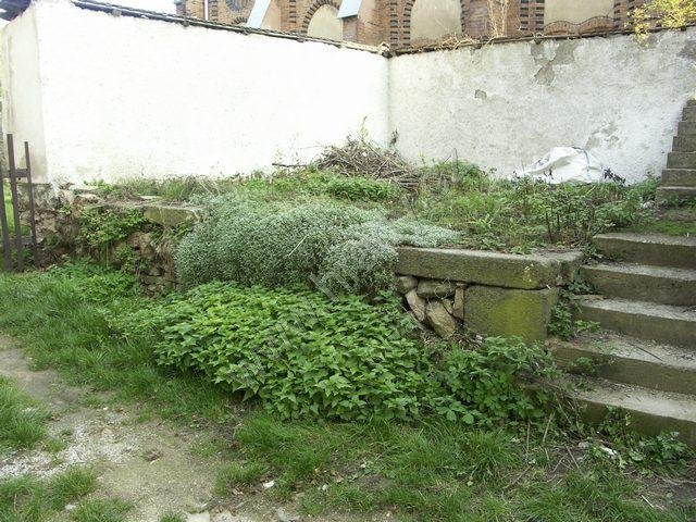 Malá synagoga