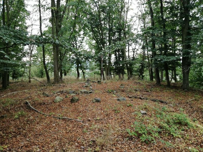Malechovská hůrka