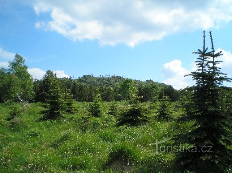 Meluzína: vrchol ze severozápadu