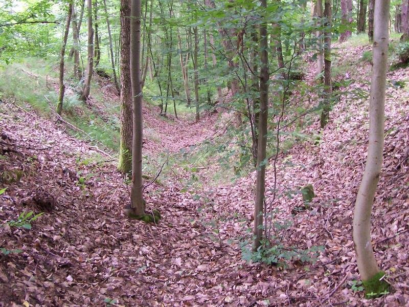 Městisko