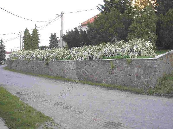 městské opevnění