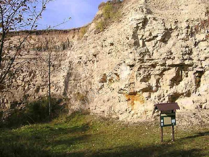 Miocenní sladkovodní vápence