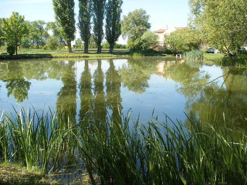 Miškovice