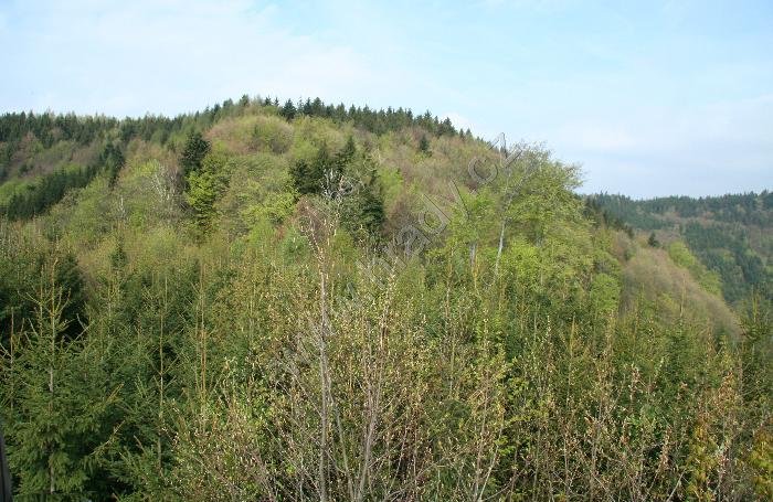 Mladějov