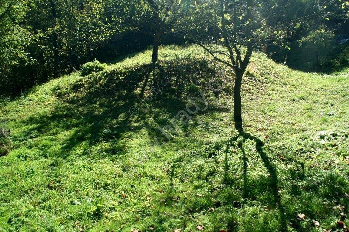 Moravecké Pavlovice