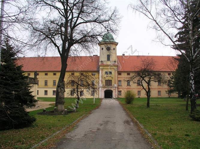 Mořice