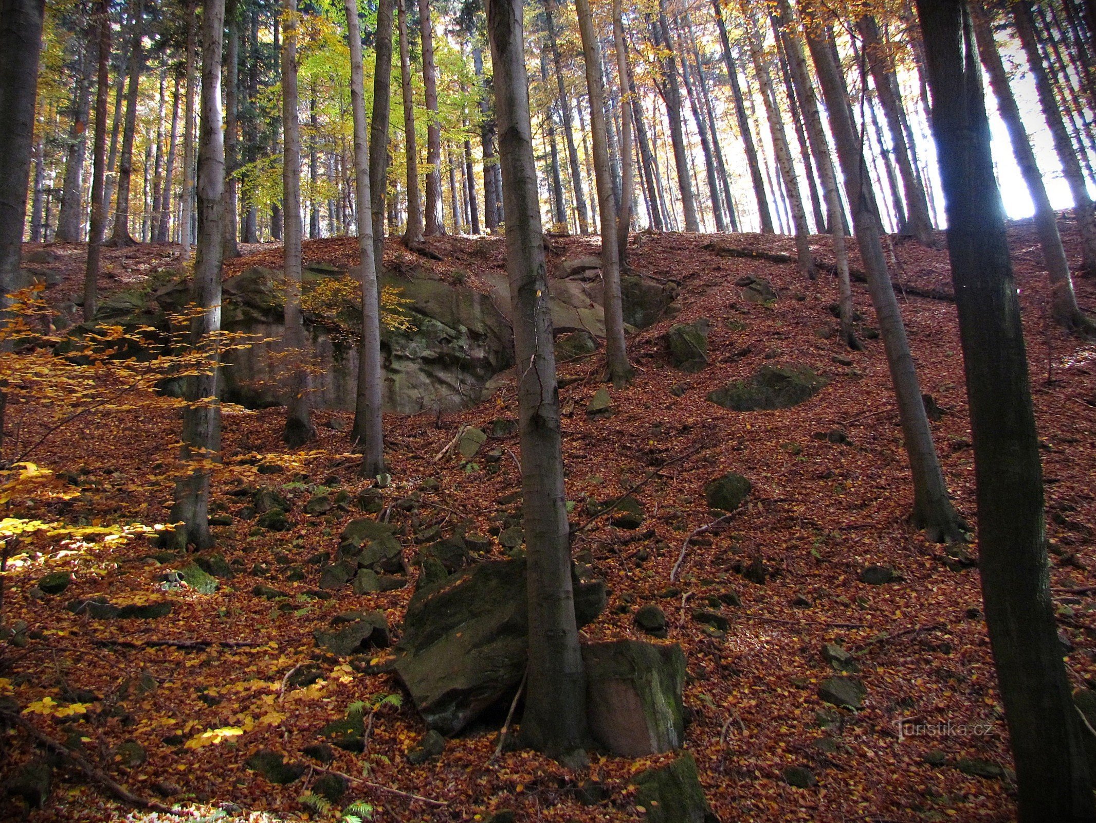 Mrazový srub na úbočí Sýkornice