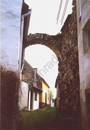 Myšenec