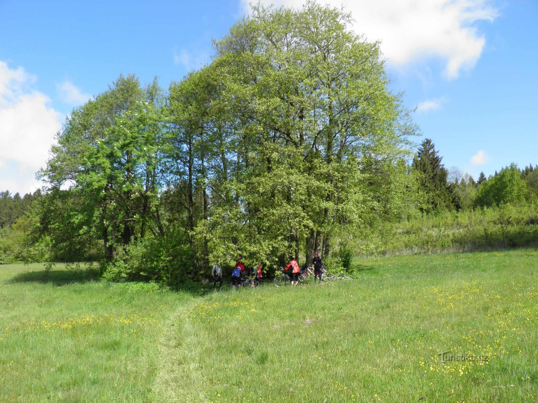 Na kole k prameni řeky Jihlavy