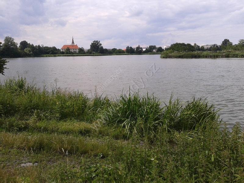národní přírodní památka Chropyňský rybník