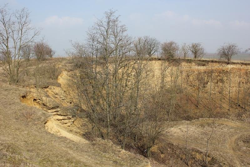 národní přírodní památka Křéby