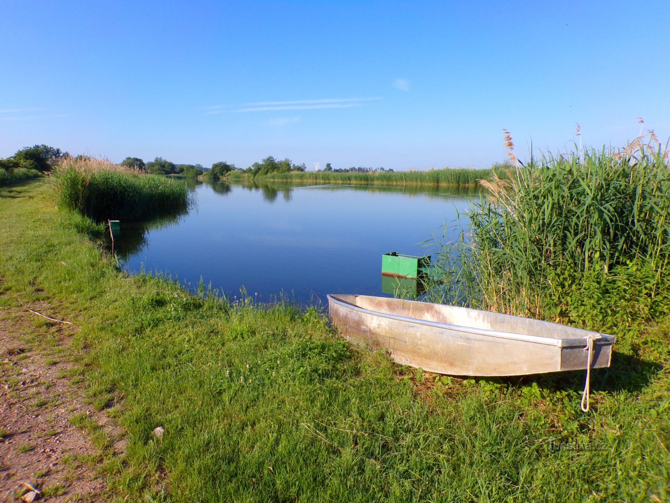 Násadové rybníčky Požáry (Kosičky, 11.6.2022)