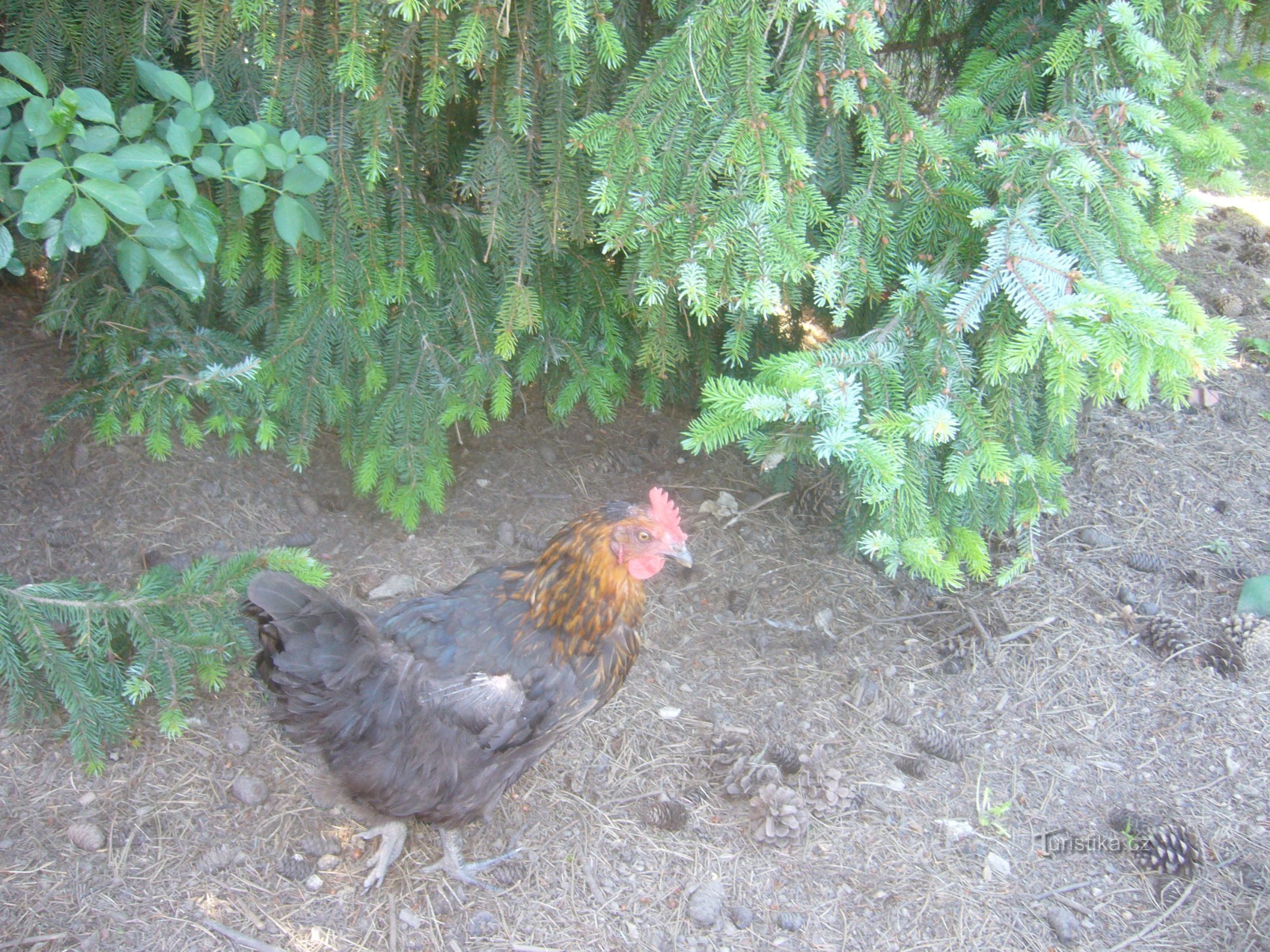 Naučná stezka MČ Praha - Běchovice