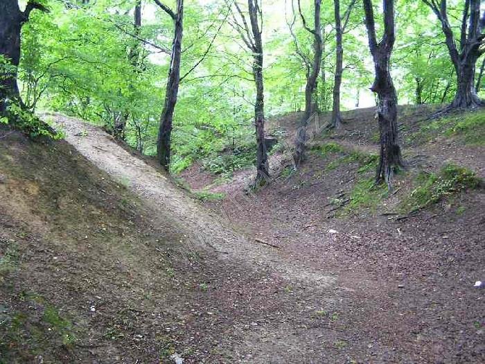 Návsí
