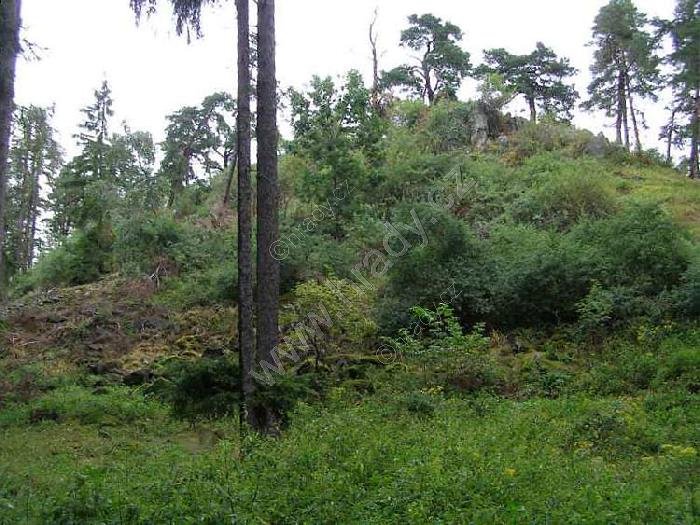 Nečtinský Špičák