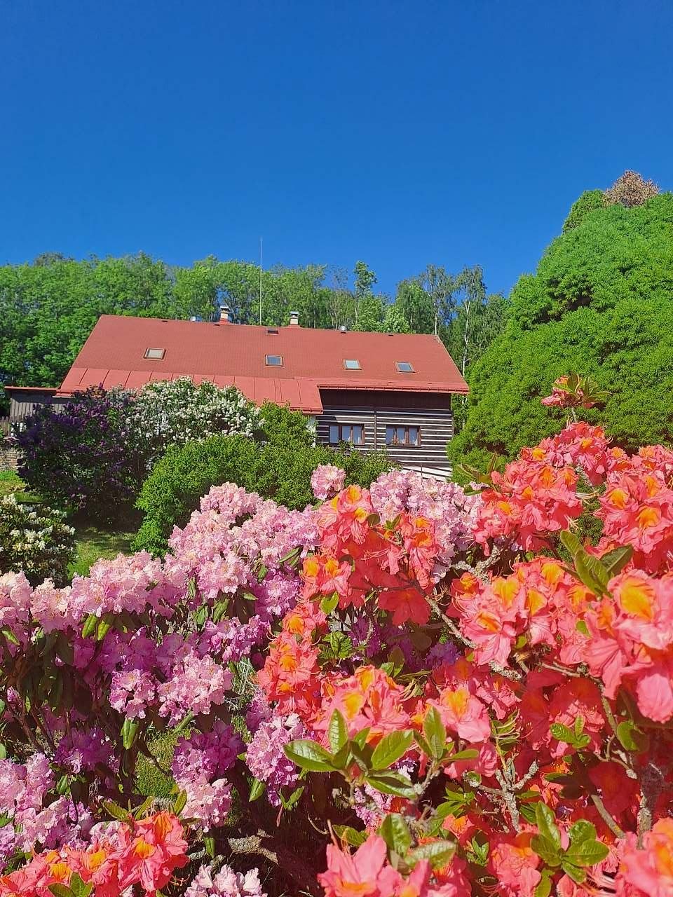 Nejkrásnější období - květen.