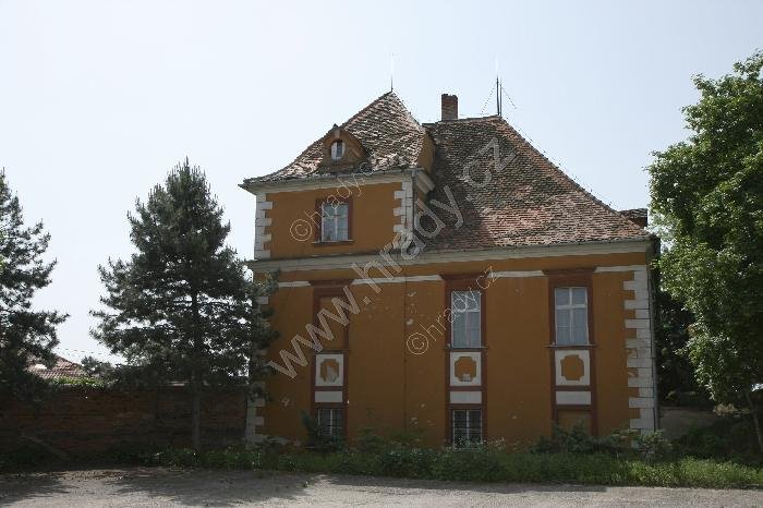Nenovice