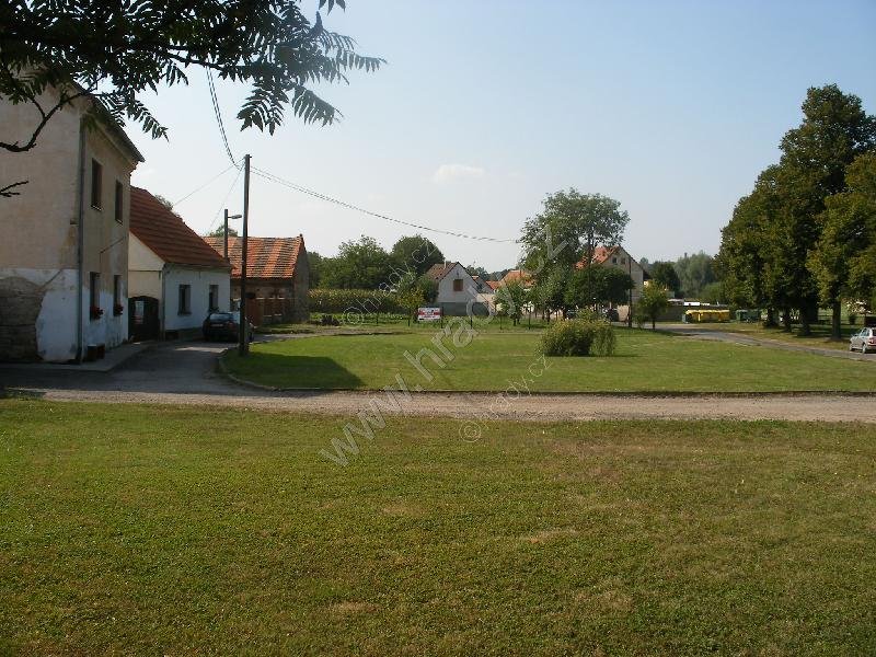 Neprobylice