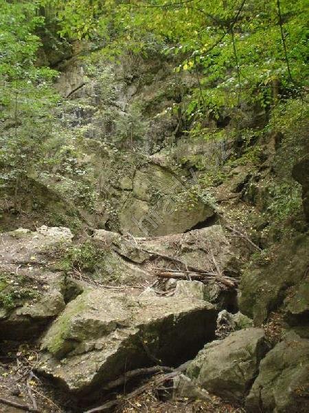 Nová a Stará Rasovna