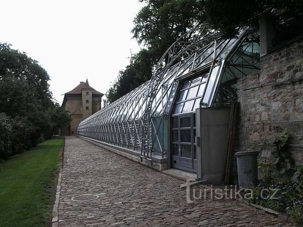 Nová oranžérie (v pozadí východní fasáda Velké míčovny)