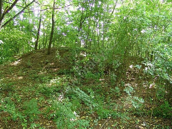 Nové Hvězdlice