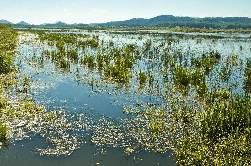 Novozámecký rybník