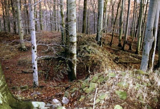 Nový Žeberk