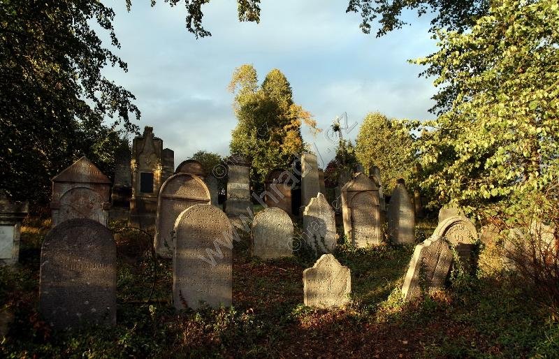 nový židovský hřbitov