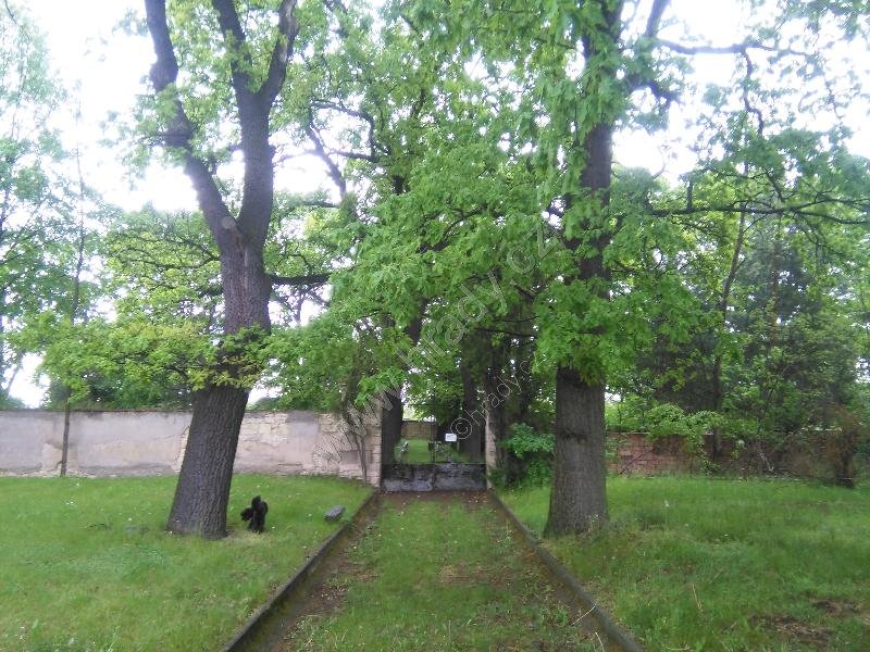 nový židovský hřbitov