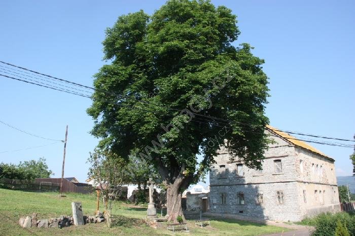 obecní studna