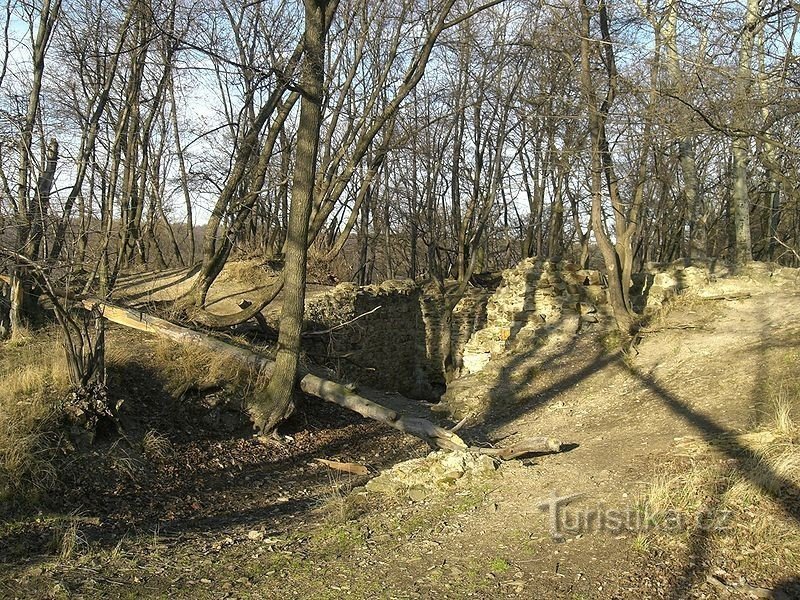 Oblast zbytků hradu v Kunratickém lese