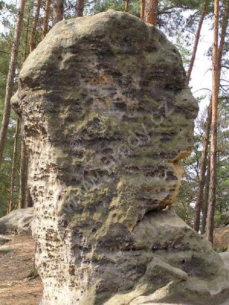 Obří hlava a Žába