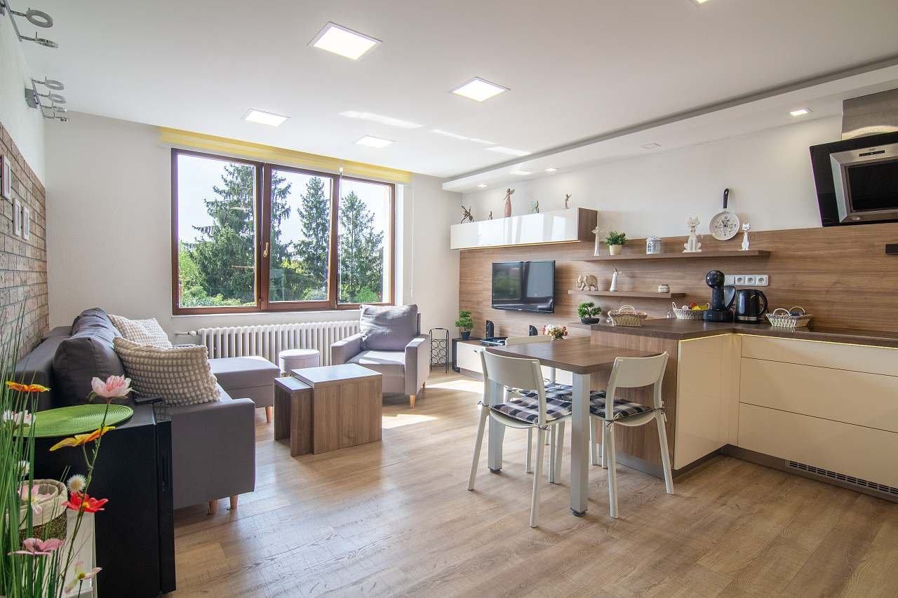 obývací pokoj s kuchyňským koutem