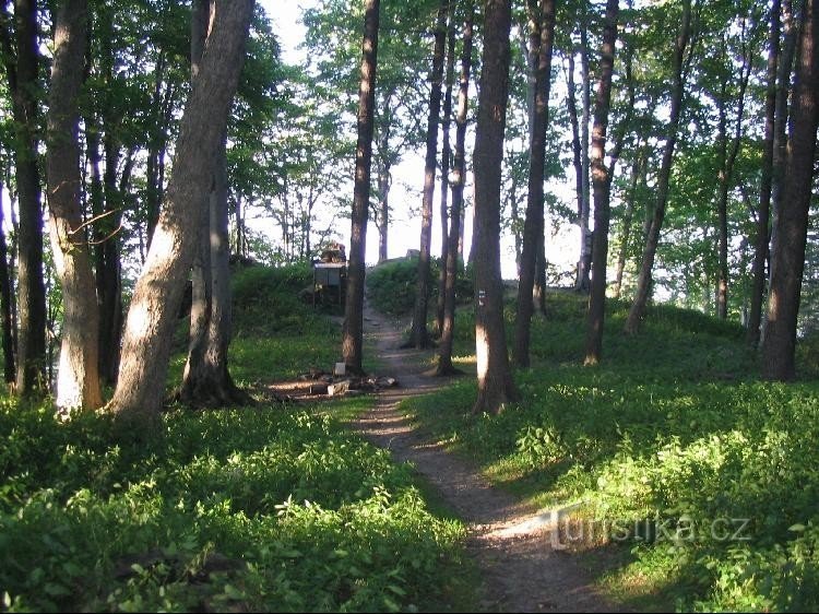 Od Sv.Anny, v pozadí zbytky zříceniny