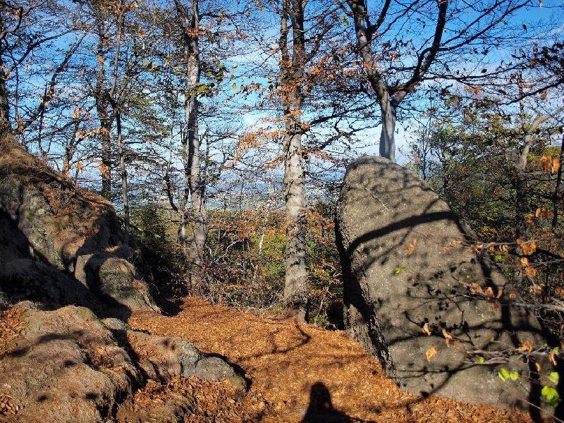 Oldřichovský Špičák