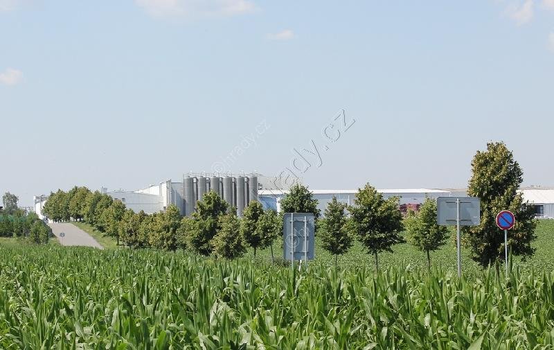 Olšany u Prostějova