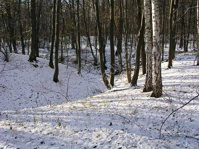 Opatovice